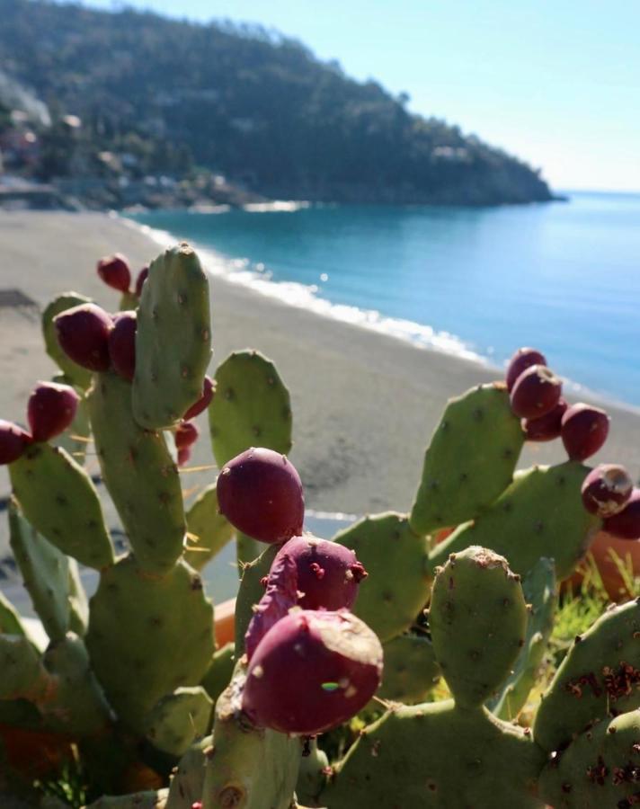 Hotel Il Nido da Chiara La Spezia Esterno foto